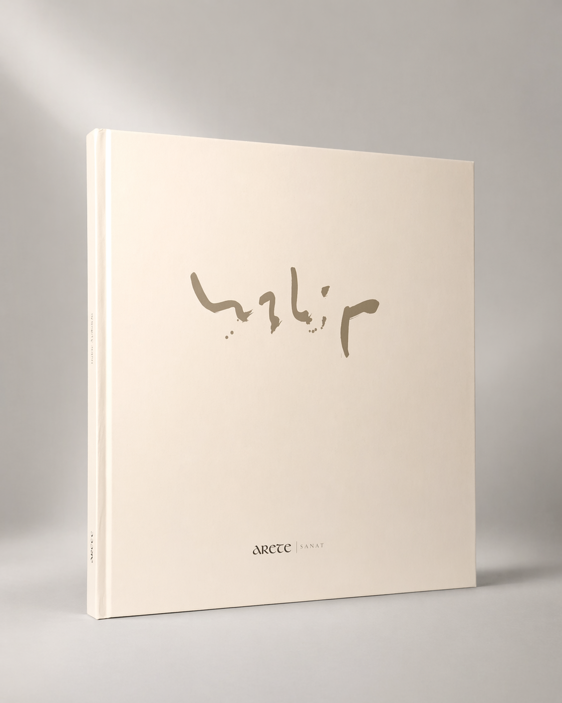 Habib Aydoğdu / Zamanın Ruhu